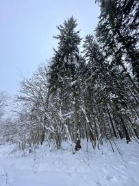 Страна белоснежных троп (однодневный лыжный)
