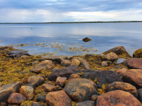 Сплав по реке Воньга и Белое Море на байдарках
