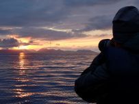 Тур на морских каяках по северной Норвегии + треккинг в горы