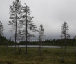 Крыша Карелии (национальный парк Паанаярви)