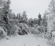 Лыжный поход с тёплой ночёвкой «Страна белоснежных троп» (Подмосковье)
