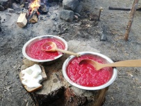 Сплав по реке Воньга и Белое Море на байдарках