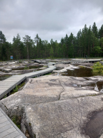 Петроглифы Беломорья