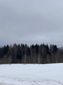 Меж двух усадеб: от Абрамцево до Мураново (пеший поход)