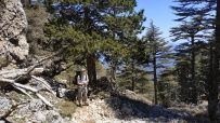 По Ликийской тропе через горы к морю (классический пеший поход)
