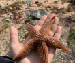 Сплав по реке Кереть и Белое море