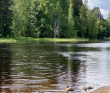 Оредеж — прогулка на байдарках (1 день)