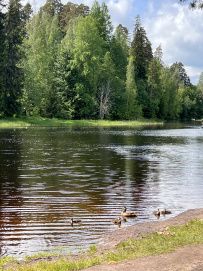 Оредеж — прогулка на байдарках (1 день)