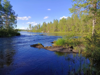 Сплав по реке Пистайоки (Писта)