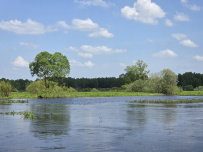 Сплав на байдарках по реке Нерская с баней на берегу и автосопровождением