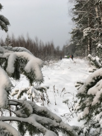 Красоты Мещёры с ночёвкой в тёплом доме (пеший поход)