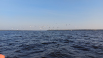 Поход на байдарках по Московскому морю