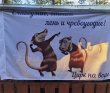 Алтайский Экспресс. Сплав по рекам Урсул, Кумир, Катунь с автосопровождением