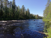 Сплав по реке Пистайоки (Писта)