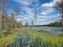 Крыша Карелии (национальный парк Паанаярви)