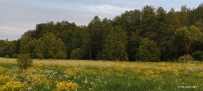 Велопоход в арт-парк Никола-Ленивец