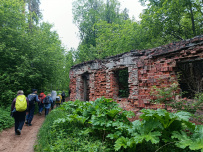 Трекинг по Оредежским берегам