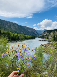 Сплав по реке Катунь