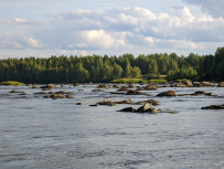 Сплав по реке Шуя