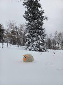 Зимние приключения на Урале с детьми 7+