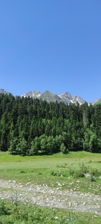 Горный лагерь в Архызе [Кавказ]