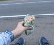 Сотка за сутки в Ленобласти: Белые ночи