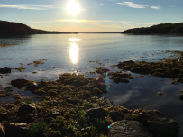 Сплав по реке Кереть и Белое море