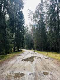 Пеший поход «Легенды и тайны Вербилковского фарфора»
