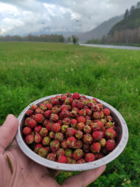 Сплав по реке Чарыш на байдарках