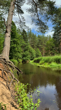 Однодневный поход «На свежий воздух»