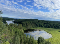 Крыша Ладоги