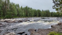 Сплав по реке Воньга и Белое Море на байдарках