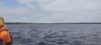 Сплав по реке Шуя
