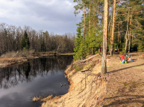 Сплав по реке Поля «Cквозь лес на байдарках»