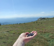 Горный лагерь на Южном Урале