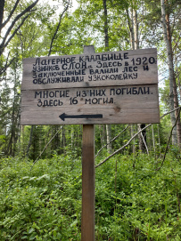 Соловецкие Острова в Белом Море (экскурсии + поход)
