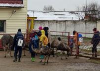 Семейный лагерь исследователей природы: в гости к зубрам и страусам