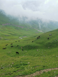 Красоты Безенги