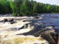 Сплав по реке Кереть и Белое море