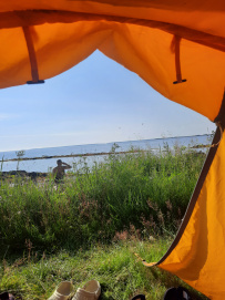Петроглифы Беломорья