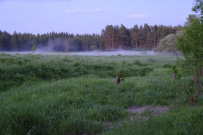 Сплав по реке Киржач на байдарках с баней на берегу