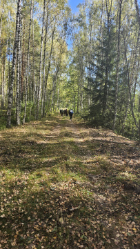 Пеший поход «Пешур и Пожога»
