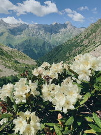 Горный лагерь в Дигории (Северная Осетия)