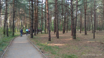 Ноябрьская однодневная велопрогулка по паркам Москвы