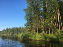 По Соловкам без рюкзаков