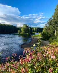 Сплав по реке Шуя