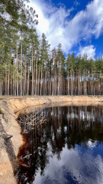 Сплав по реке Поля «Cквозь лес на байдарках»