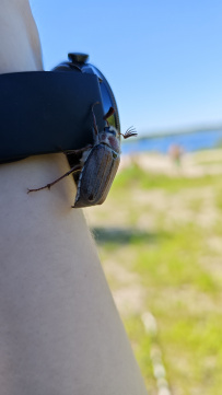 Пеший поход "Минус два"