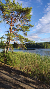 Водное ассорти с детьми: на лодках, байдарках, сапах