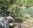 Горный лагерь в Домбае [Кавказ]